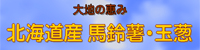 北海道産馬鈴薯・玉葱販売