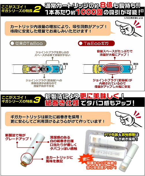 giga_info02-3_500.jpg