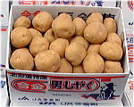 jႭk̎ʐ^