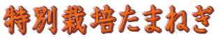 玉葱