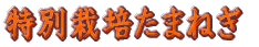 ʔK